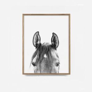 Black and White Horse 🐎 Print